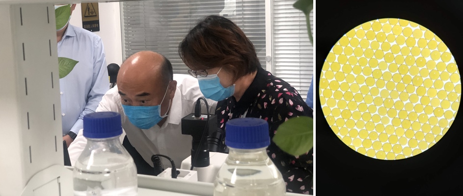 陕西省省长刘国中、西安市市长李明远一行调研高陵uu电玩官网工业园 陕西省省长刘国中、西安市市长李明远一行调研高陵uu电玩官网工业园